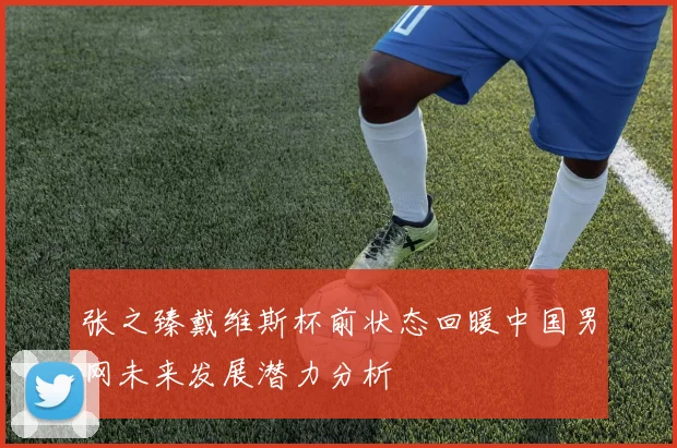 张之臻戴维斯杯前状态回暖中国男网未来发展潜力分析